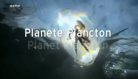 (Arte) Planète Plancton (2011)