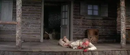 The Revengers 1972