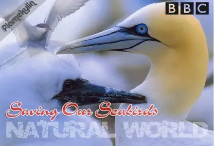 BBC Natural World - Saving Our Seabirds (2007)