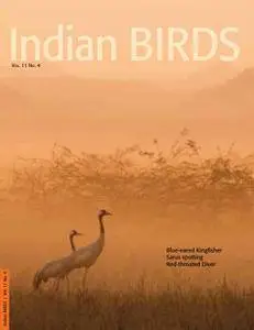 Indian Birds - June 17, 2016