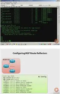 Cisco CCIE Routing and Switching: Implement BGP [repost]
