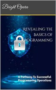 Revealing The Basics of Programming: A Pathway To Successful Programming Operations