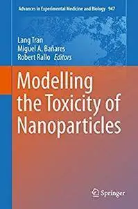 Modelling the Toxicity of Nanoparticles