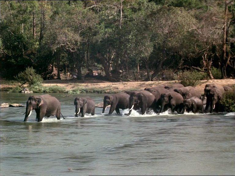 Chyornaya Gora / Black Mountain (1972)