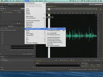 LearnNowOnline - Premiere Pro CC In Depth, Part 2: Effects & Audio