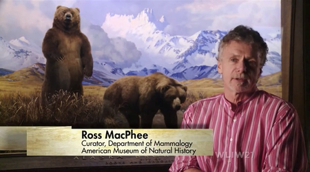 WNET - American Museum of Natural History (2013)