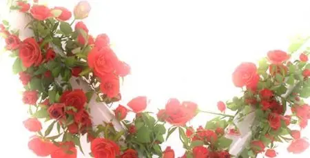 My Love - After Effects Project (Videohive)