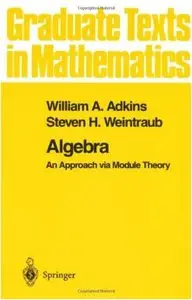 Algebra: An Approach via Module Theory [Repost]