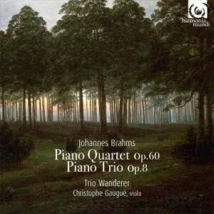 Trio Wanderer & Christophe Gaugué - Brahms: Piano Quartet No.3, Piano Trio No.1 (2016)