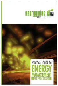 A Practical Guide to Energy Management for Processors