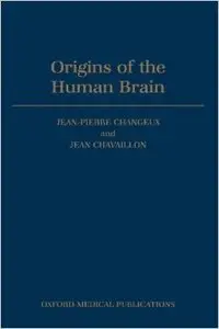 Origins of the Human Brain