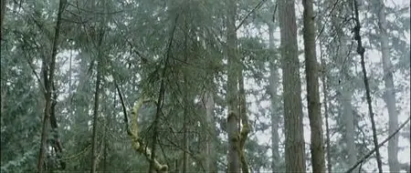 Wrecked (2011)