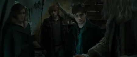 Harry Potter and the Deathly Hallows: Part 1 / Harry Potter et les reliques de la mort - 1ère partie (2010)