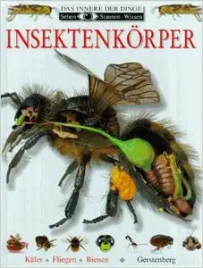 Insektenkörper: Käfer, Fliegen, Bienen von Miranda MacQuitty