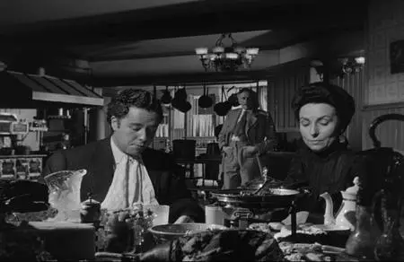 The Magnificent Ambersons (1942) [Criterion Collection]
