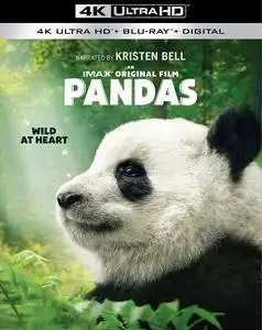 Pandas (2018) [4K, Ultra HD]