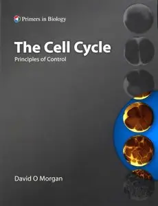 "The Cell Cycle: Principles of Control" by David O. Morgan