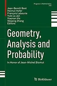 Geometry, Analysis and Probability: In Honor of Jean-Michel Bismut (Progress in Mathematics) [Repost]