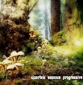 VA Essence Progressive