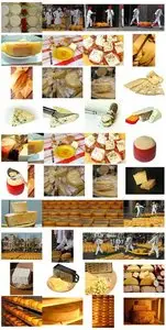 Cheese Mega Collection