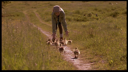 Fly Away Home (1996) 
