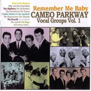 VA - Remember Me Baby - Cameo Parkway Vocal Groups, Vol. 1 (2010)