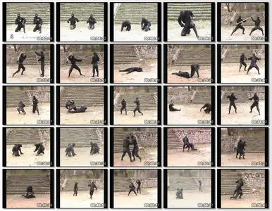 Koga Ryu Ninjutsu Empty Hands