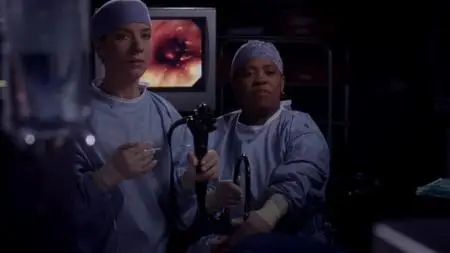 Grey's Anatomy S10E12