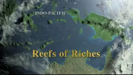 Discovery Channel - Equator: Reef of Riches (2005)