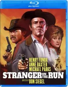 Stranger on the Run (1967)