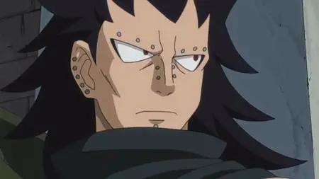 Fairy Tail 171-175 (2009-2013)