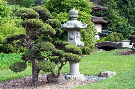 Photos on a theme the Japanese Garden