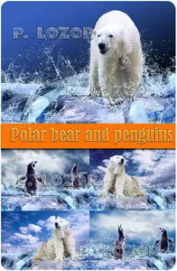 Polar bear and penguins