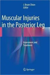 Muscular Injuries in the Posterior Leg: Assessment and Treatment