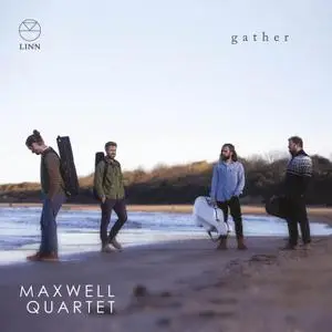 Maxwell Quartet - Gather (2023) [Official Digital Download 24/96]