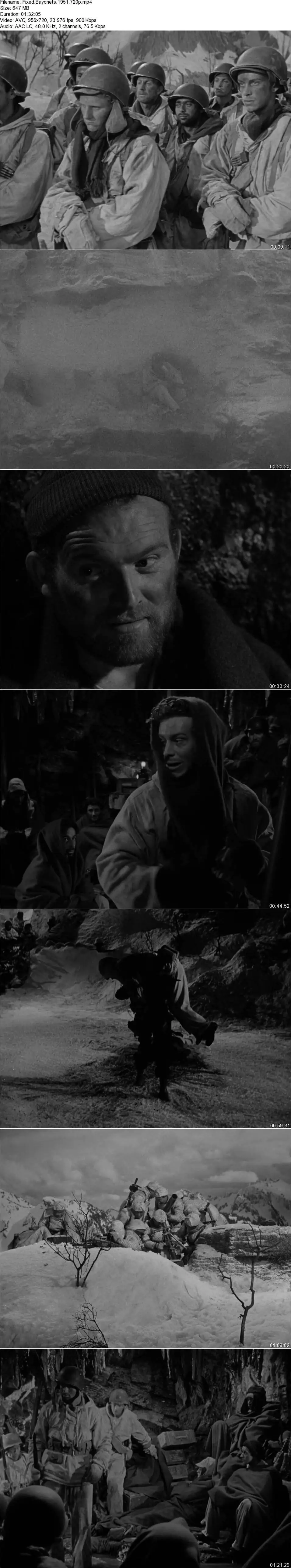 Fixed Bayonets! (1951)