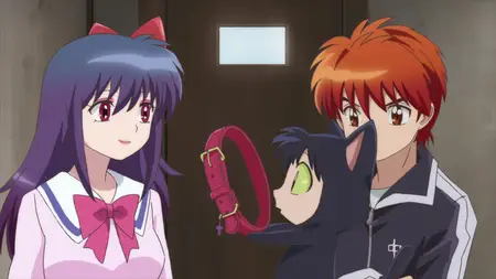 Kyoukai no Rinne - 49