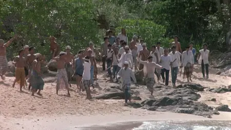 Turtle Beach (1992)