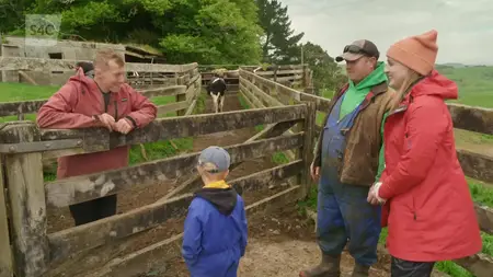 S4C Cefn Gwlad - Palmant Aur y Kiwis (2024)