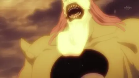Bleach - 316
