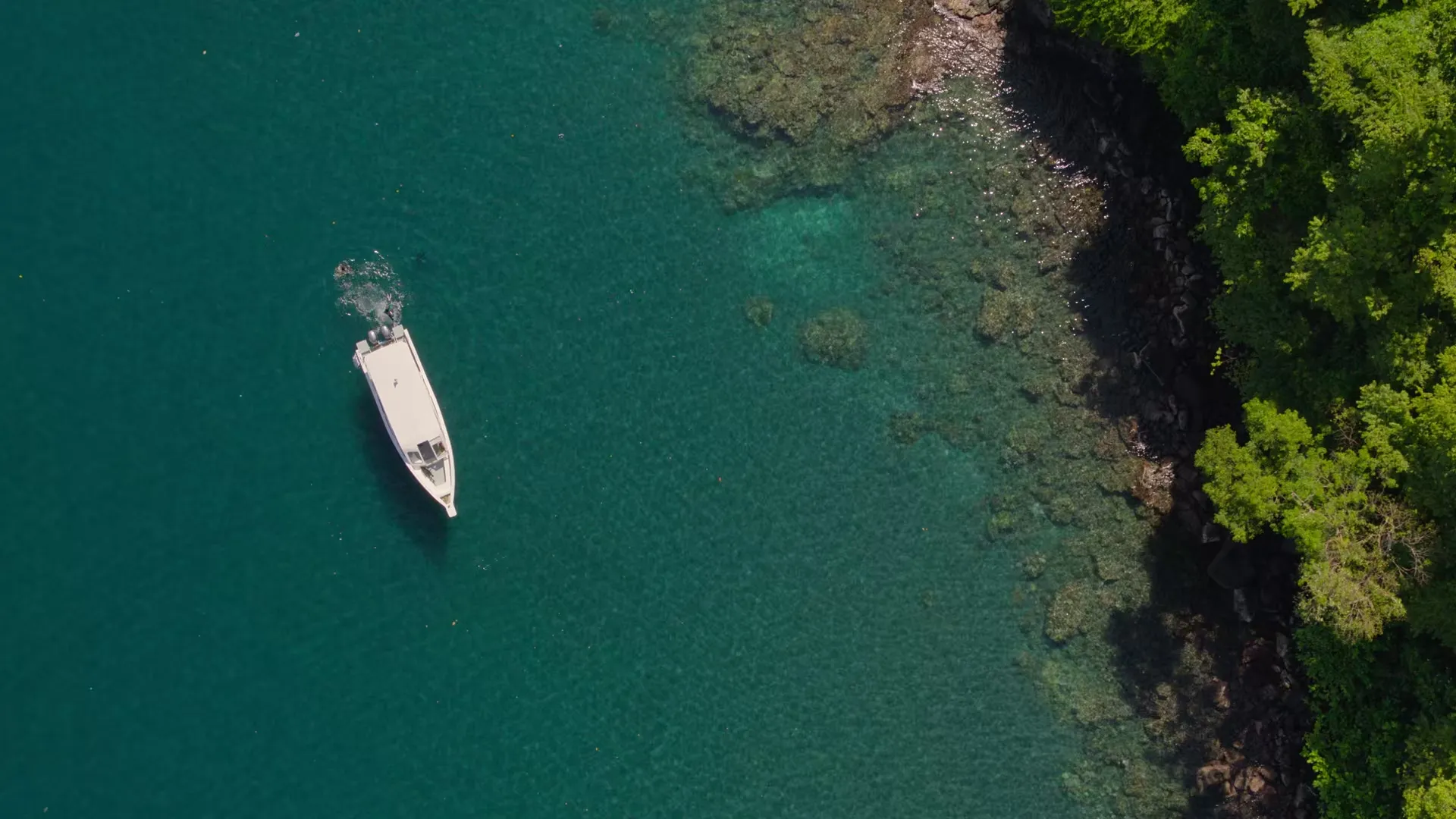 Octopus! S01E02