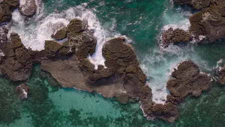 Octopus! S01E02