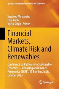 Financial Markets, Climate Risk and Renewables