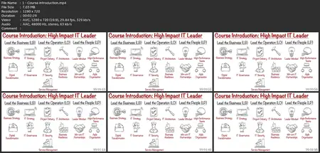 High-Impact It Leader - Succeed As Cio/Cto/It Director 2024!