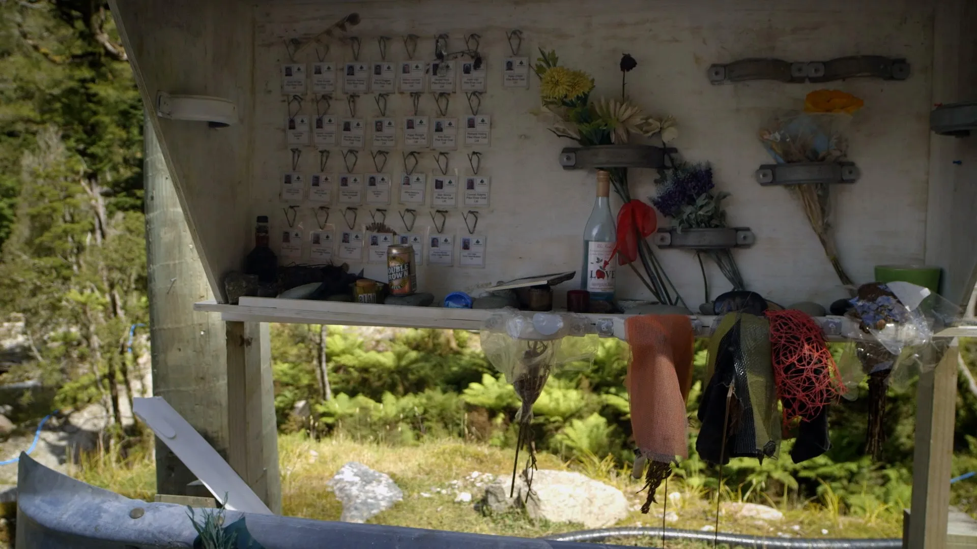 The Women of Pike River (2015)