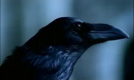 Discovery Channel - Castle Ghosts (1997)
