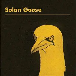 Erland Cooper - Solan Goose (2018)