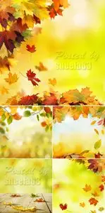Stock Photo - Autumn Backgrounds with Leaves 2