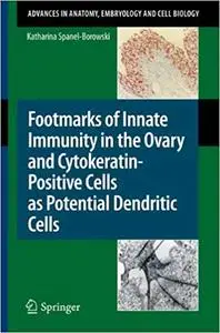 Footmarks of Innate Immunity in the Ovary and Cytokeratin-Positive Cells as Potential Dendritic Cells