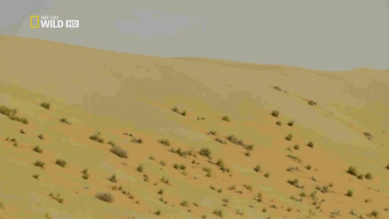 National Geographic - Wildest Middle East (2017)